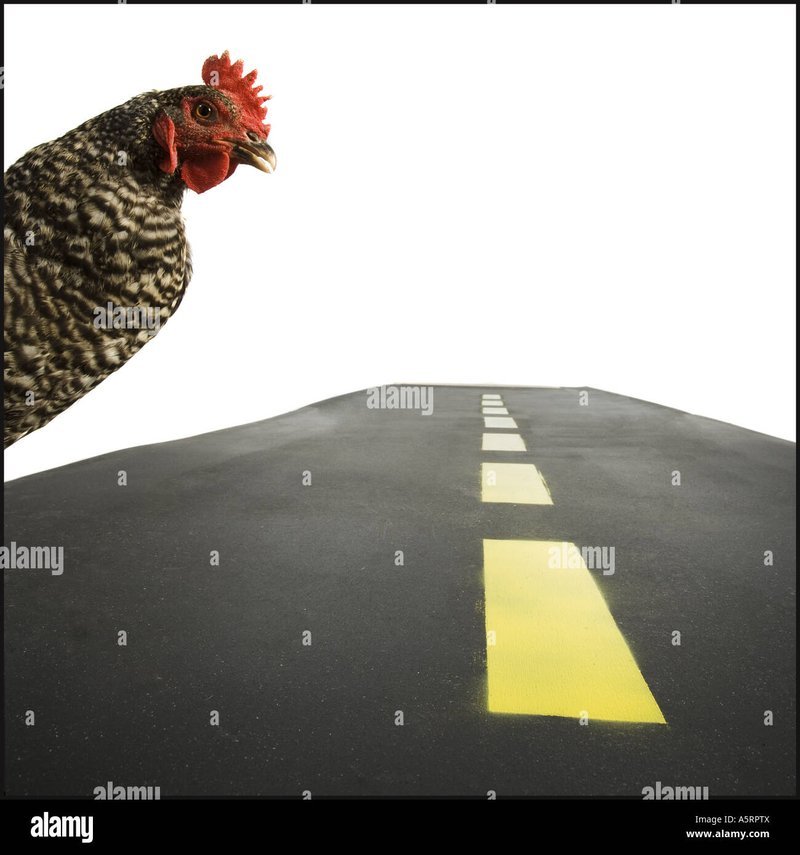 Entdecken Sie das spannende Spiel 'Chicken Road' in den deutschen Online Casinos